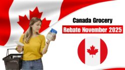 Canada Grocery Rebate November 2025: Payment Dates, Amount and Full Eligibility Details